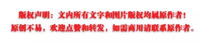 走去哪里粤语,去哪走天竺