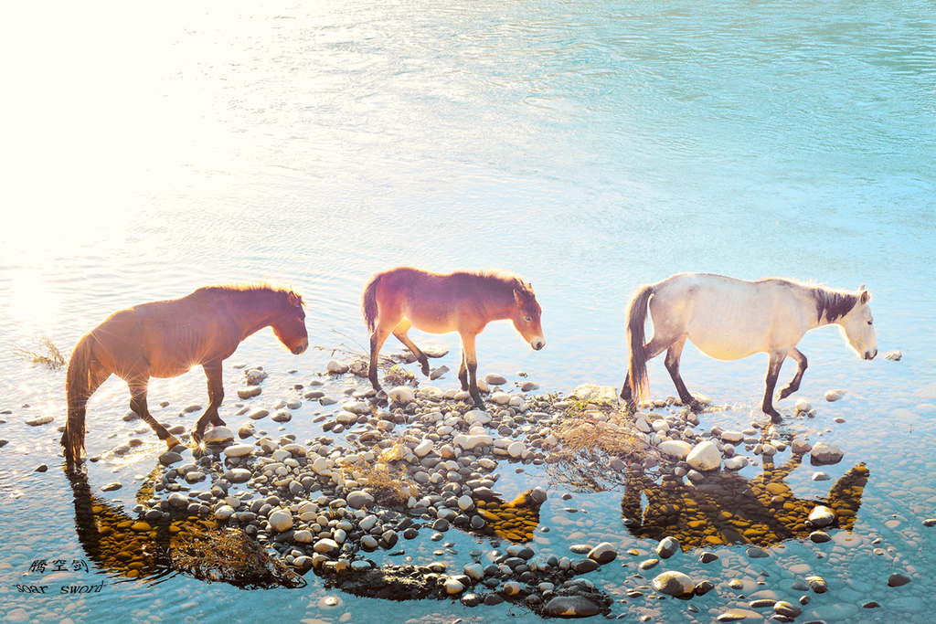 同型半胱氨酸是独立健康指标,同型半胱氨酸孕妇指标5.9正常吗