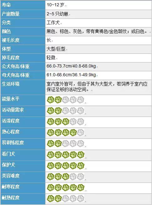 网红过气后的生活,过气网红的日子视频