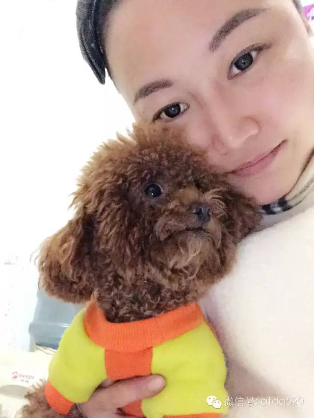 泰迪妈妈生了几个孩子,泰迪接生的过程