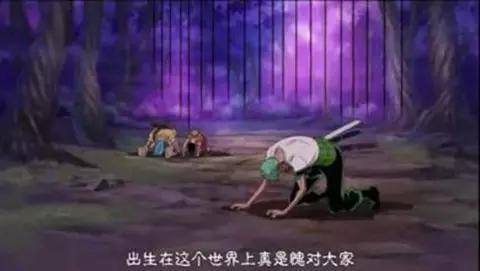 鹰眼回家看到索隆和佩罗娜在哪集,索隆和佩罗娜有什么关系