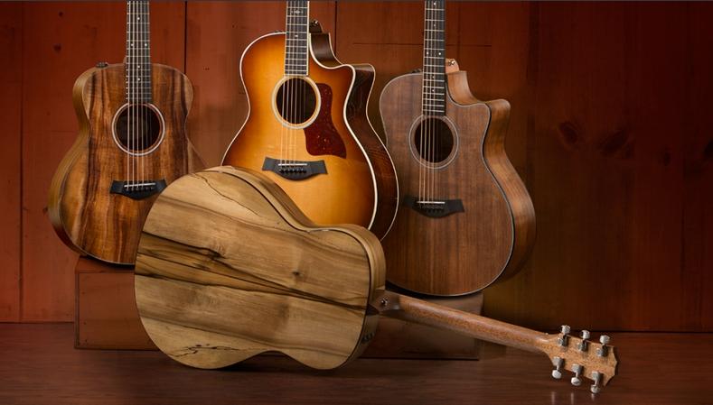 怎样才能买到一把好吉他？朋友问你的时候别说不知道！