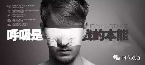 内衣爆款平价品牌有哪些,内衣品牌查询