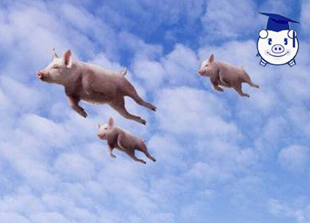 他是互联网大咖上市公司CEO，为什么“不走正道”偏去养猪？