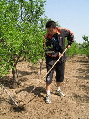 国乒双打奇才三进三出国家队，骂观众被罚下乡，曾与张怡宁拍拖