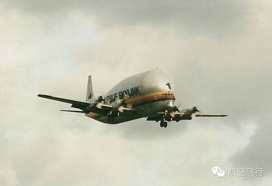 变异变形飞机,变异飞机鹦鹉