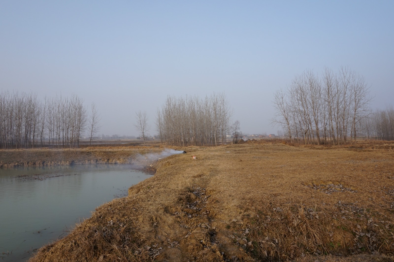 回乡偶书之一离别家乡,回乡偶书简介及感悟