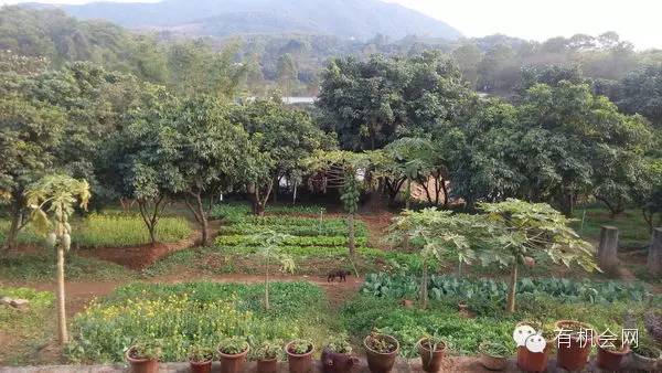 疗愈人的慧灵农场：一群很简单的人，在这里快乐、自在地生活