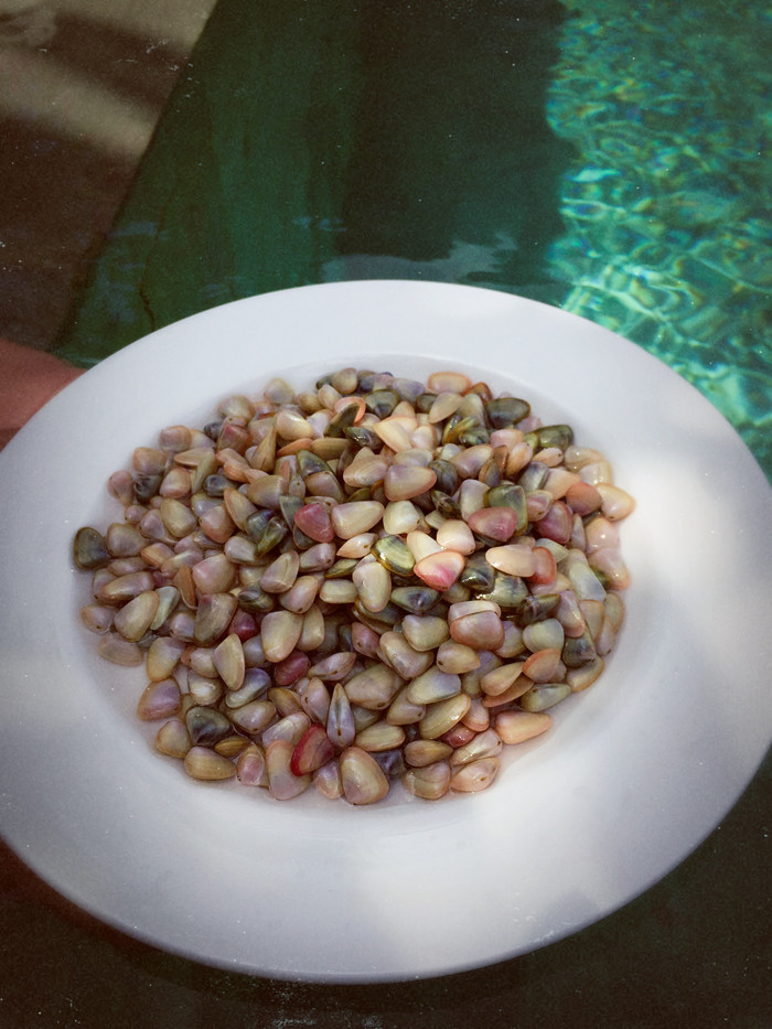 梦幻巴厘只属于你我的蜜月~~逗逼文字、气质趣图