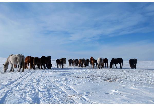 牧马少年歌曲完整版,牧马少年草原