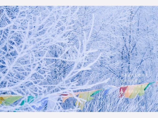 牧马少年歌曲完整版,牧马少年草原