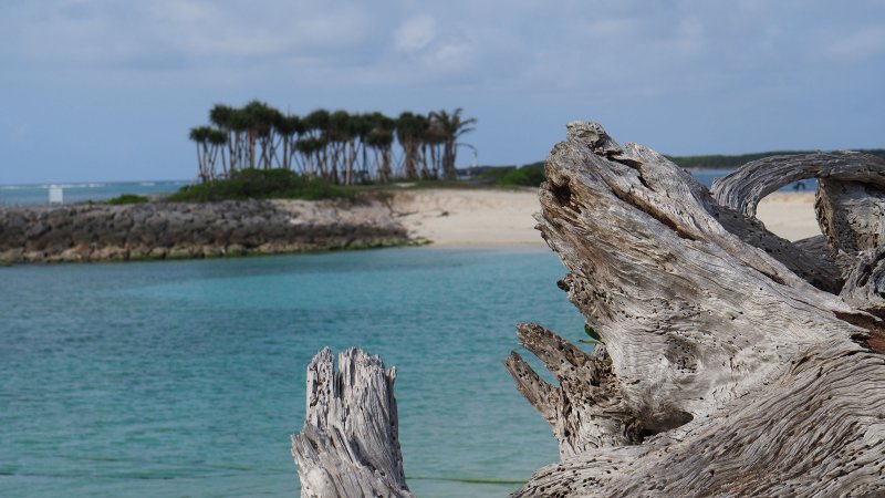 奥林巴斯相机镜头参数,奥林巴斯penf实拍样张