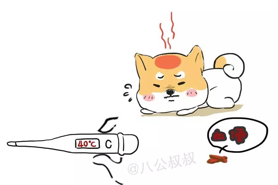 怎样缓解狗狗肠胃炎肚子疼,狗狗慢性肠胃炎可以吃西咪替丁吗