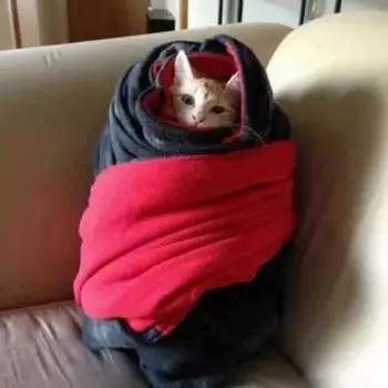 衡阳3月底的气温怎么样,衡阳未来几天气温会降低吗