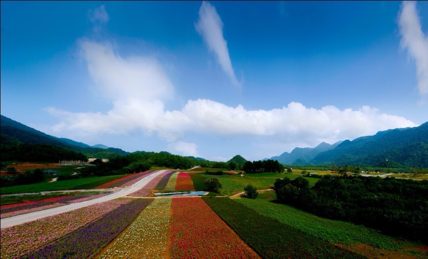重庆免费景区有哪些地方,重庆景区有哪些景点门票免费