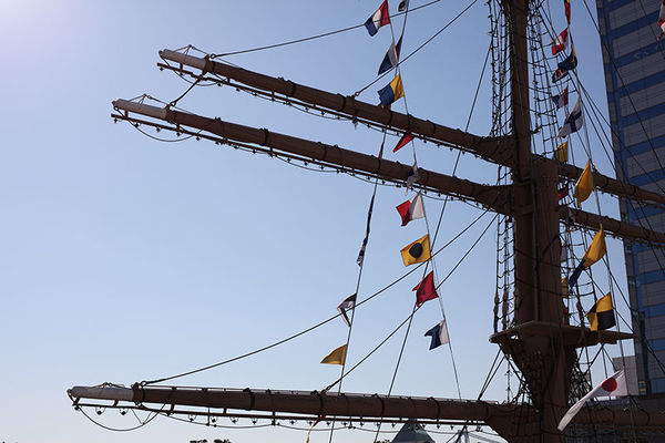 画质最好的第一视角相机,蔡司milvus1002评测