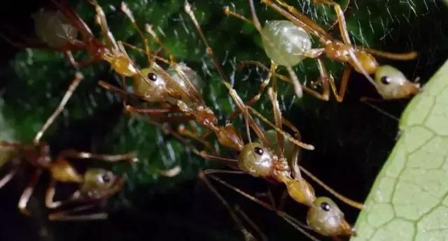 豆瓣9.7的冷门好片，送给每个热爱生命的人