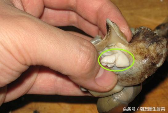 吃海鲜这些事一定要注意,吃海鲜了哪些水果不能吃