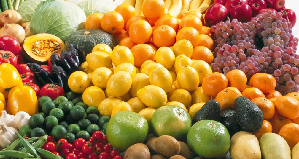 农村旅游创业点子,创业新点子100个国外稀奇创业点子