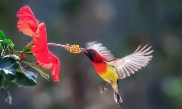 豆瓣9.7的冷门好片，送给每个热爱生命的人