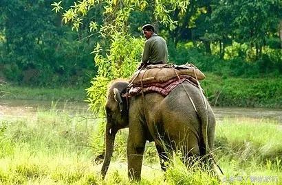 在泰国购物必买东西清单,泰国购物必买清单中国品牌