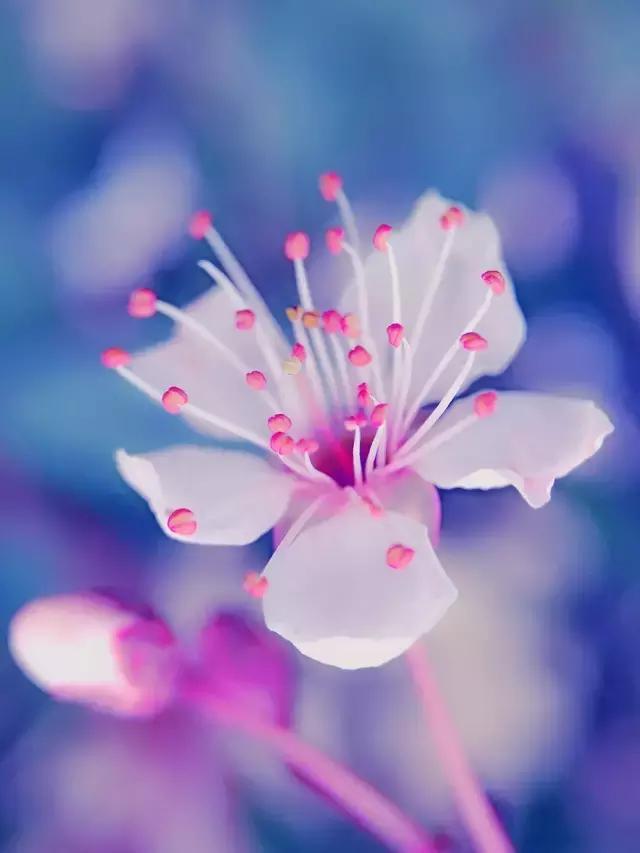 摄影背景模糊人物清晰,变焦模糊摄影教程