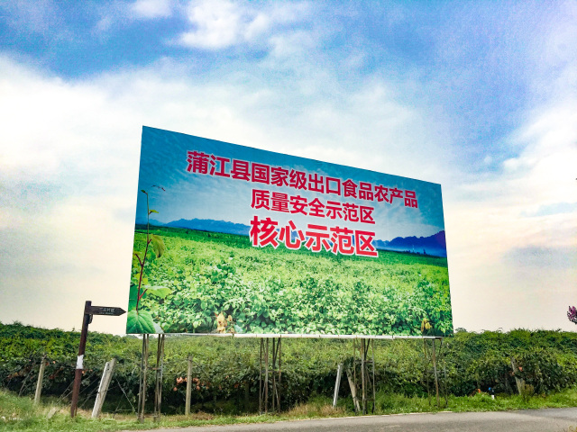 红心猕猴桃多少度的最好喝,红心猕猴桃特别小还特别甜