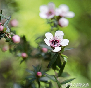 全球最值得带的伴手礼,旅行必买的伴手礼