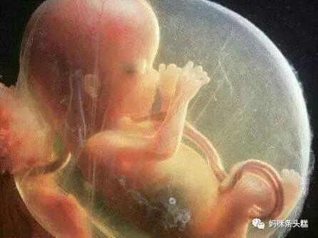 孕期用药对胚胎影响表,孕期吃药影响率