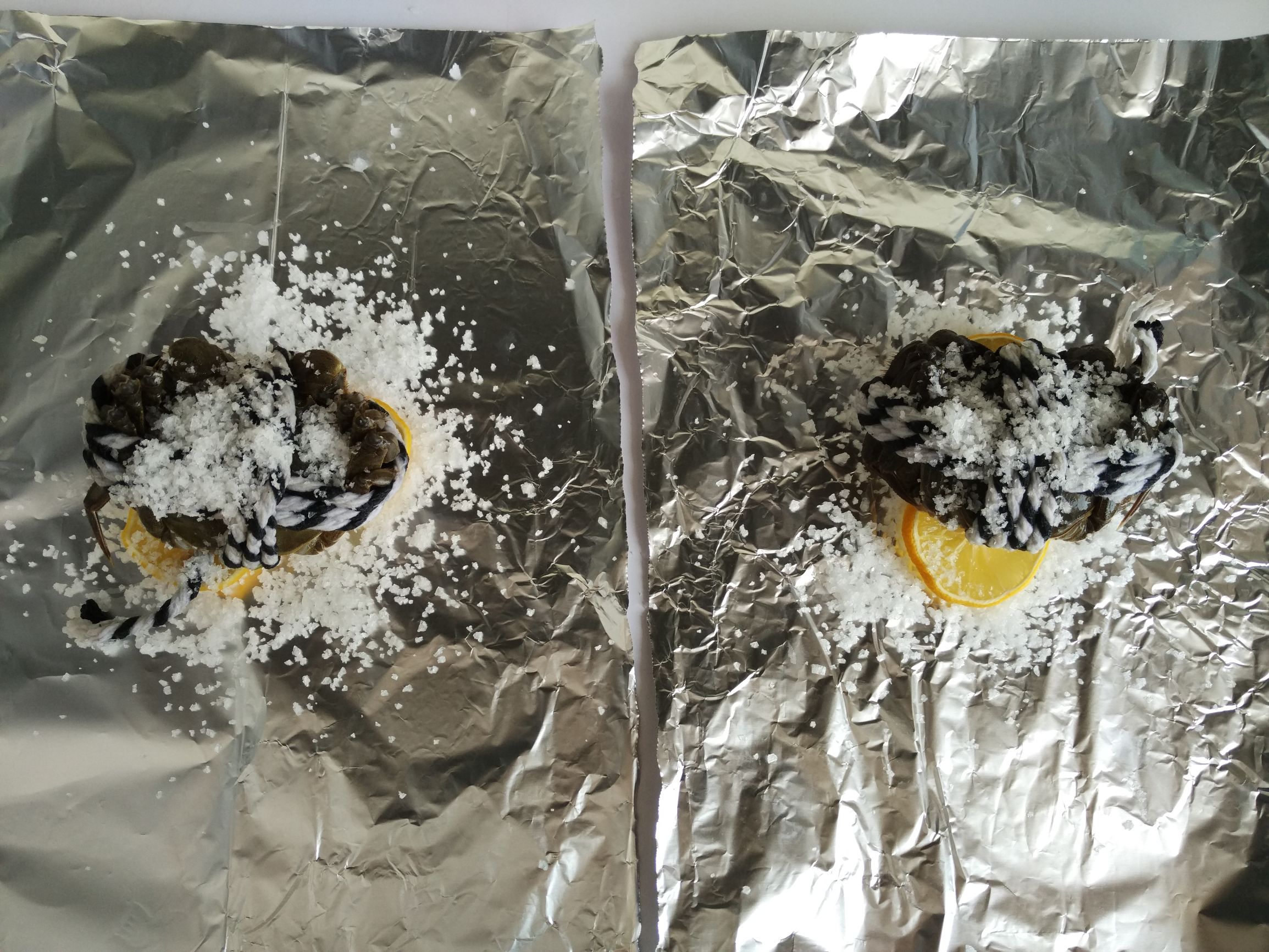 手把手教你清蒸大闸蟹的正确做法,打破常规清蒸大闸蟹也可以这样蒸