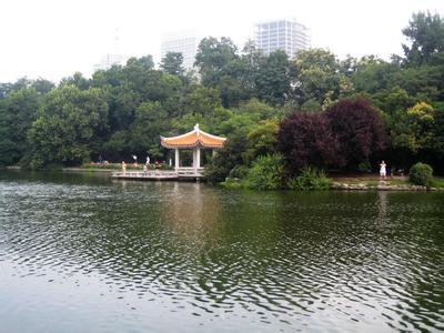 合肥住房租赁政策,有关合肥市出租房政策