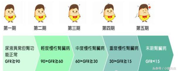 肾功能不全代偿期、失代偿期患者营养治疗方案制定参考