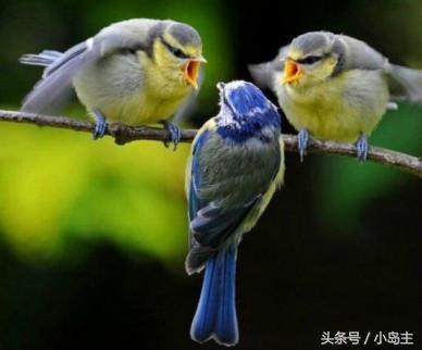 保证让你笑到肚子疼的视频,保证让你笑到死的视频