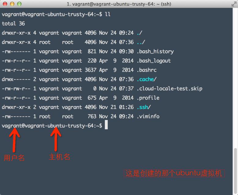 开发环境的搭建讲解视频,开发环境搭建基础知识