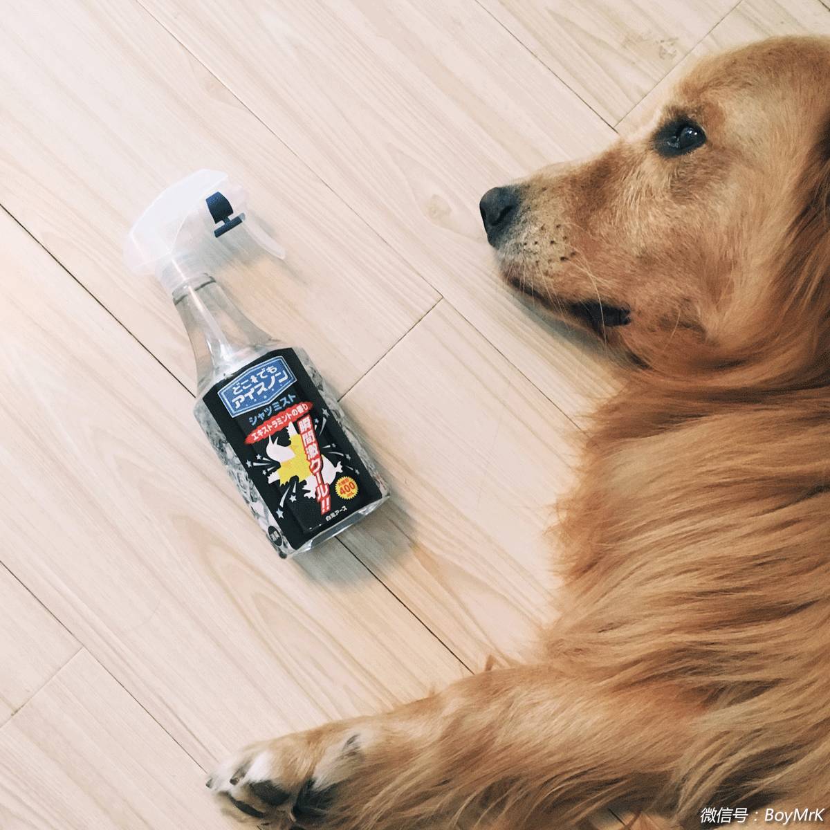 种草冬日必备单品,种草清单