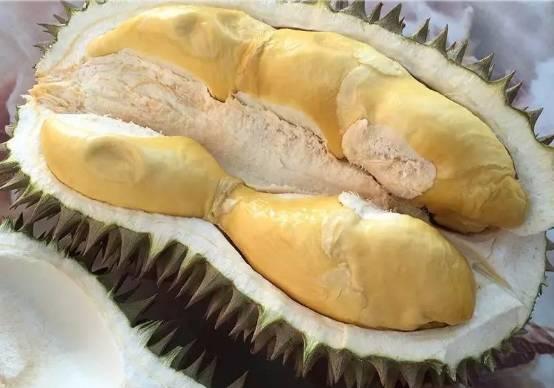 马来西亚各种榴莲名称,马来榴莲品种介绍