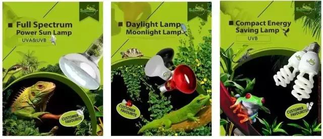 亚宠展攻略狗狗,亚宠展2020爬宠