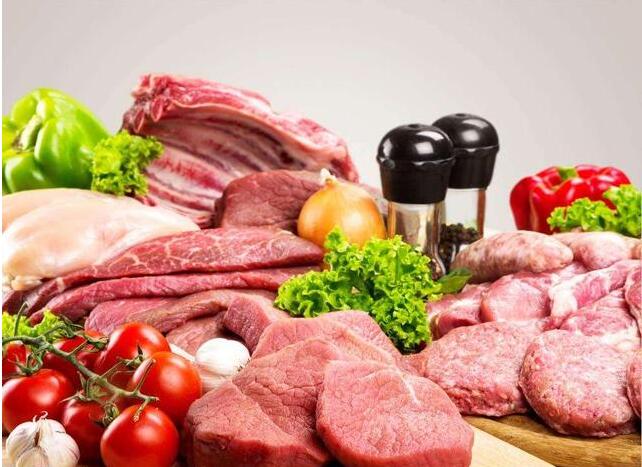 三个月泰迪可以吃什么食物,对泰迪有益的五种食物