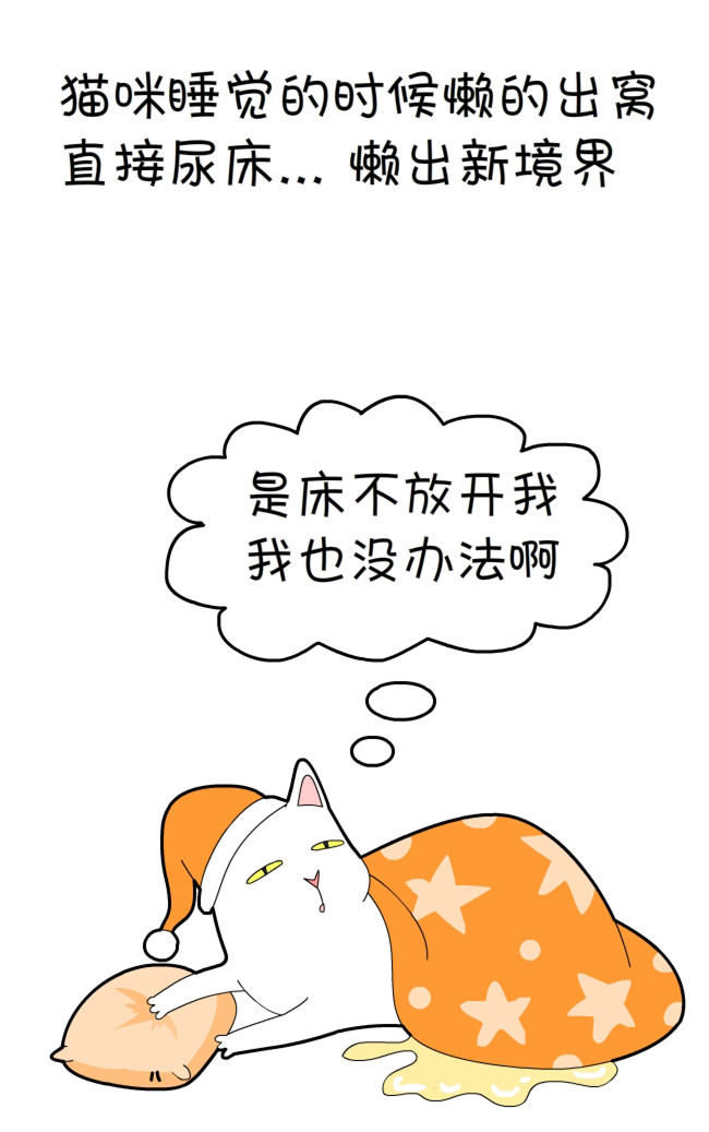 猫咪和铲屎官的幸福生活漫画,猫狗铲屎官漫画