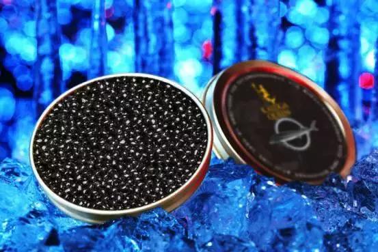 普通鲟鱼有鱼子酱吗,鲟鱼的卵是鱼子酱