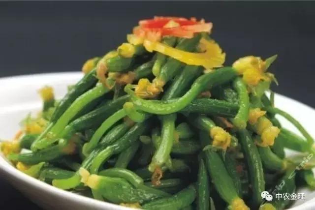 迷你农业怎么做,网红迷你农业怎么玩