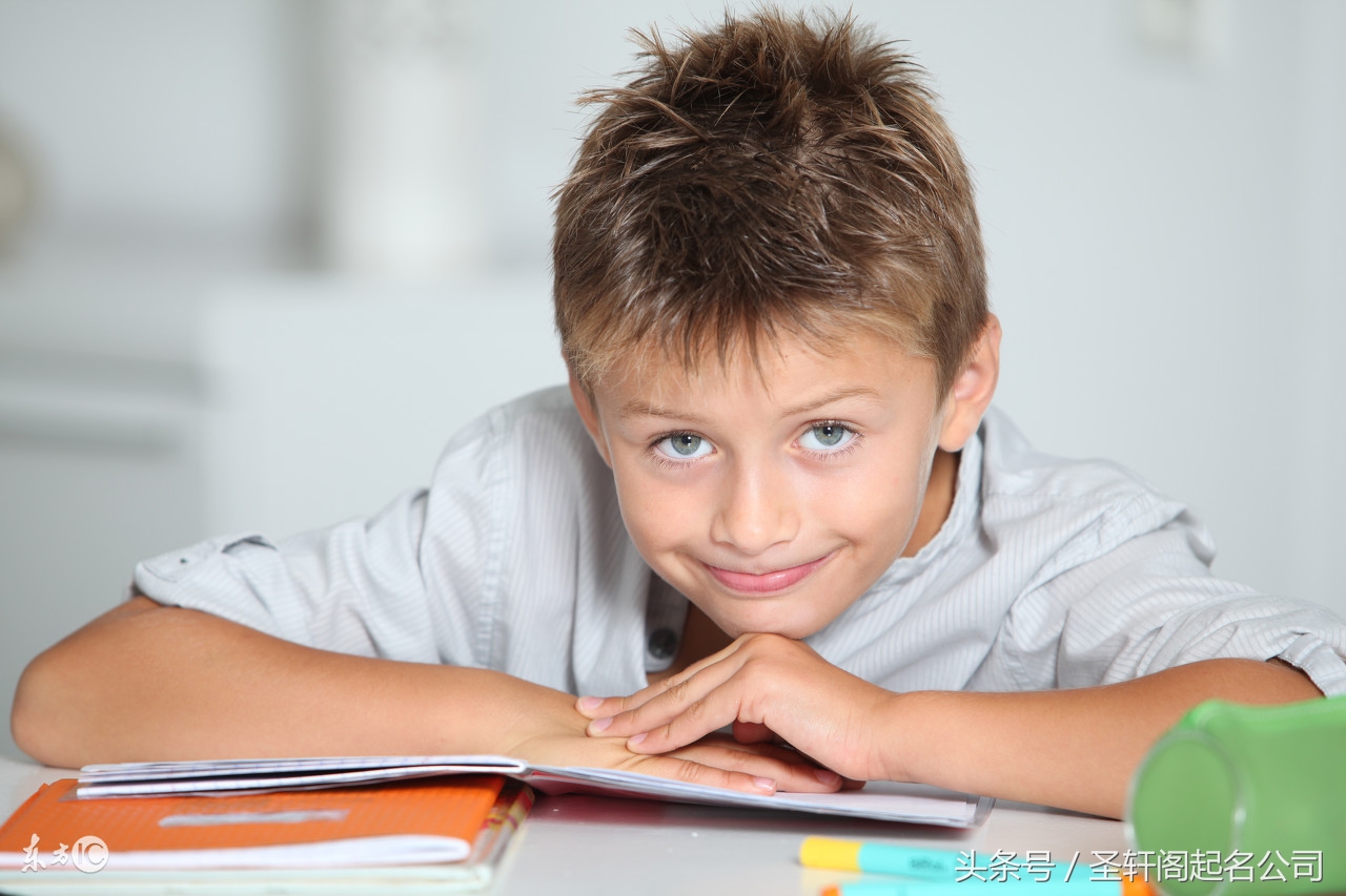 姓林鸡年男孩名字大全,鸡年带诗字男孩名字