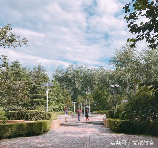 《大学我来了》走进北京理工大学——“乡”“村”上学故事