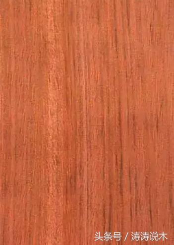 识木料,识木头后续