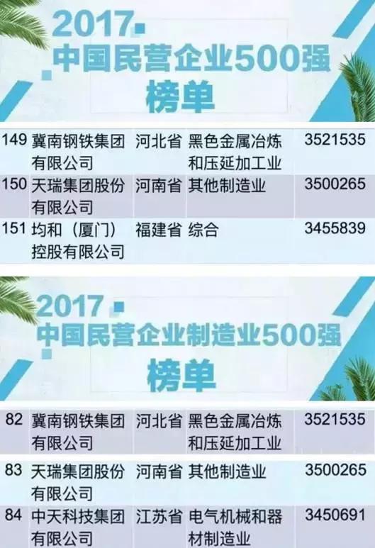 河南天瑞集团民营企业500强,天瑞集团中国500强