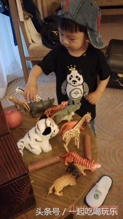 带宝宝长隆野生动物园旅游攻略,广州长隆野生动物园旅游攻略