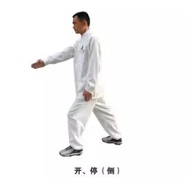 裁判手势详解,裁判场上手势