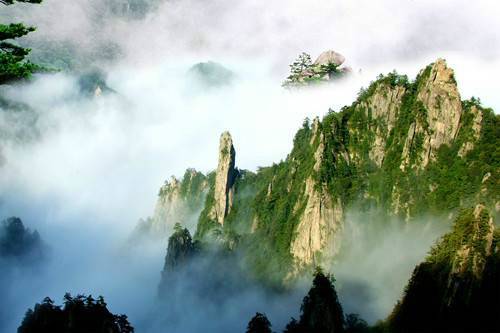 河南天瑞集团民营企业500强,天瑞集团中国500强