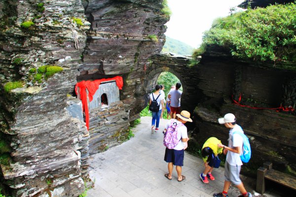 天天有人去山上采蘑菇,每天来观看的游客上万人