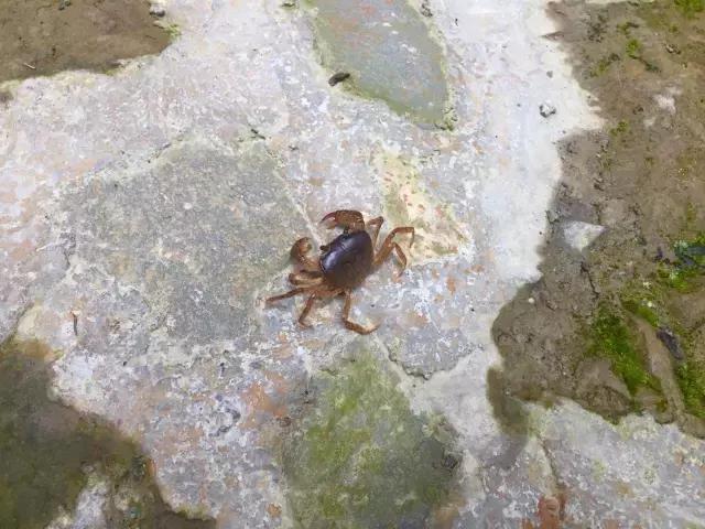 南宝山免费露营耍水,南宝山林海营地有什么耍的